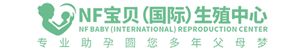 智绘网